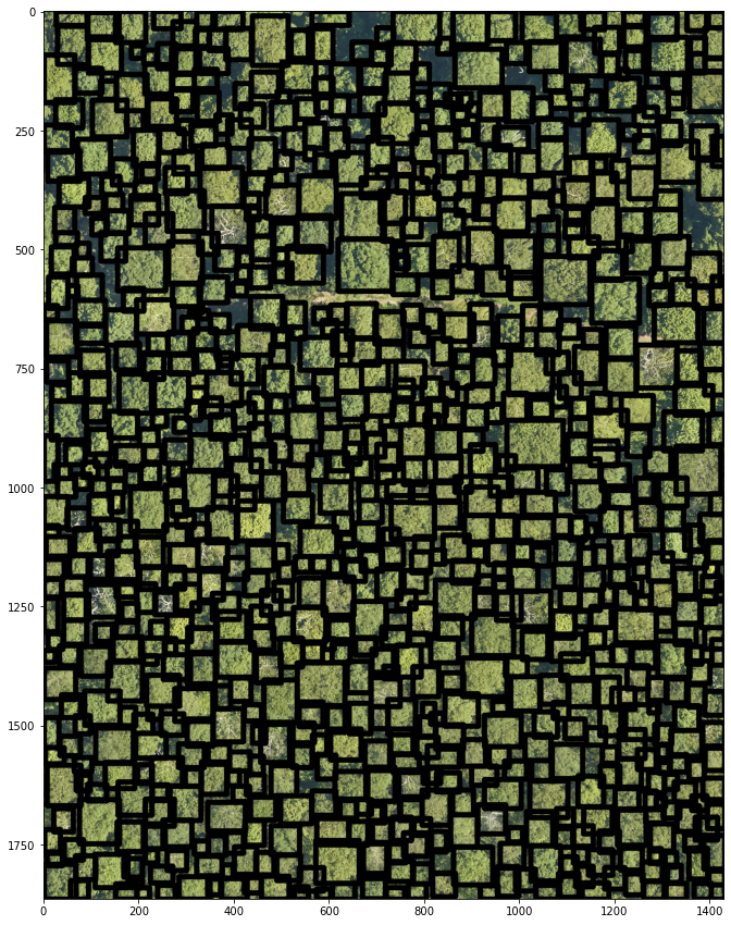 ../../_images/forest-modelling-treecrown_deepforest_22_0.png