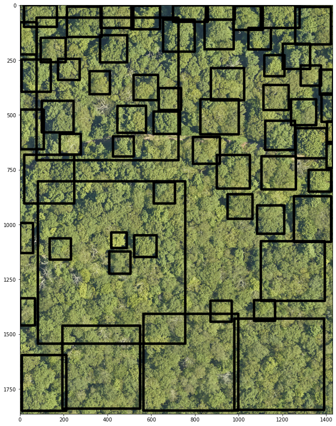 ../../_images/forest-modelling-treecrown_deepforest_27_0.png
