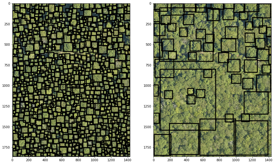 ../../_images/forest-modelling-treecrown_deepforest_29_0.png