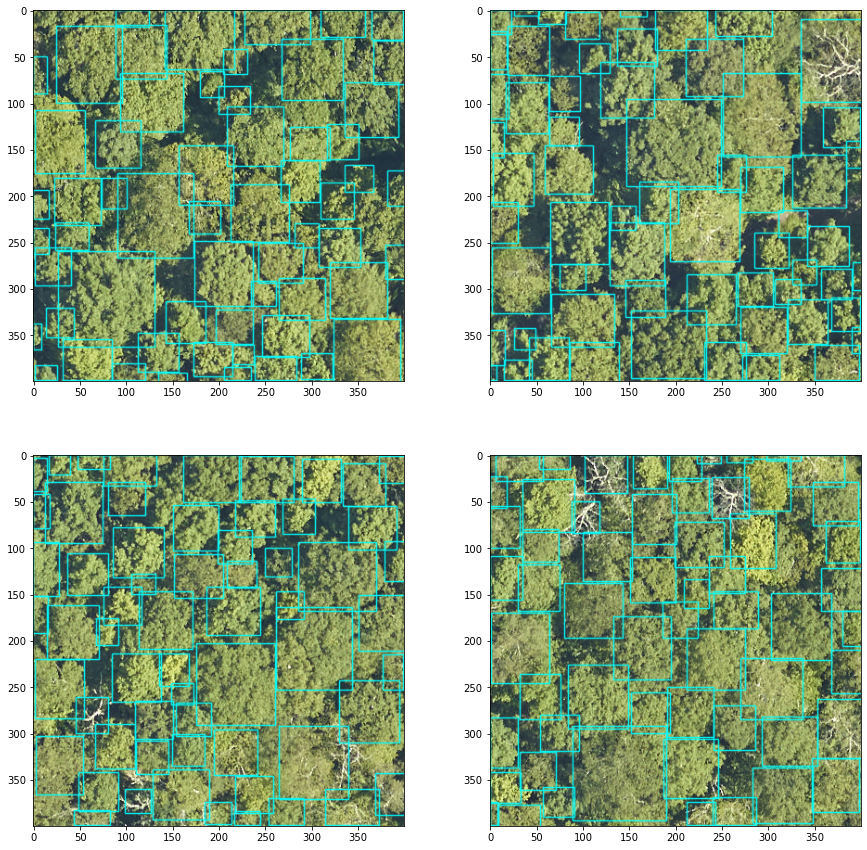 ../../_images/forest-modelling-treecrown_deepforest_32_0.png