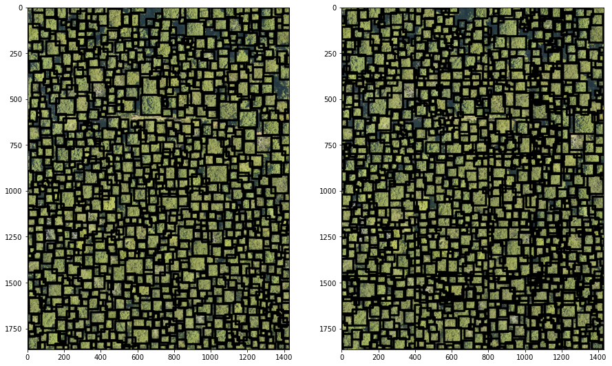 ../../_images/forest-modelling-treecrown_deepforest_34_1.png