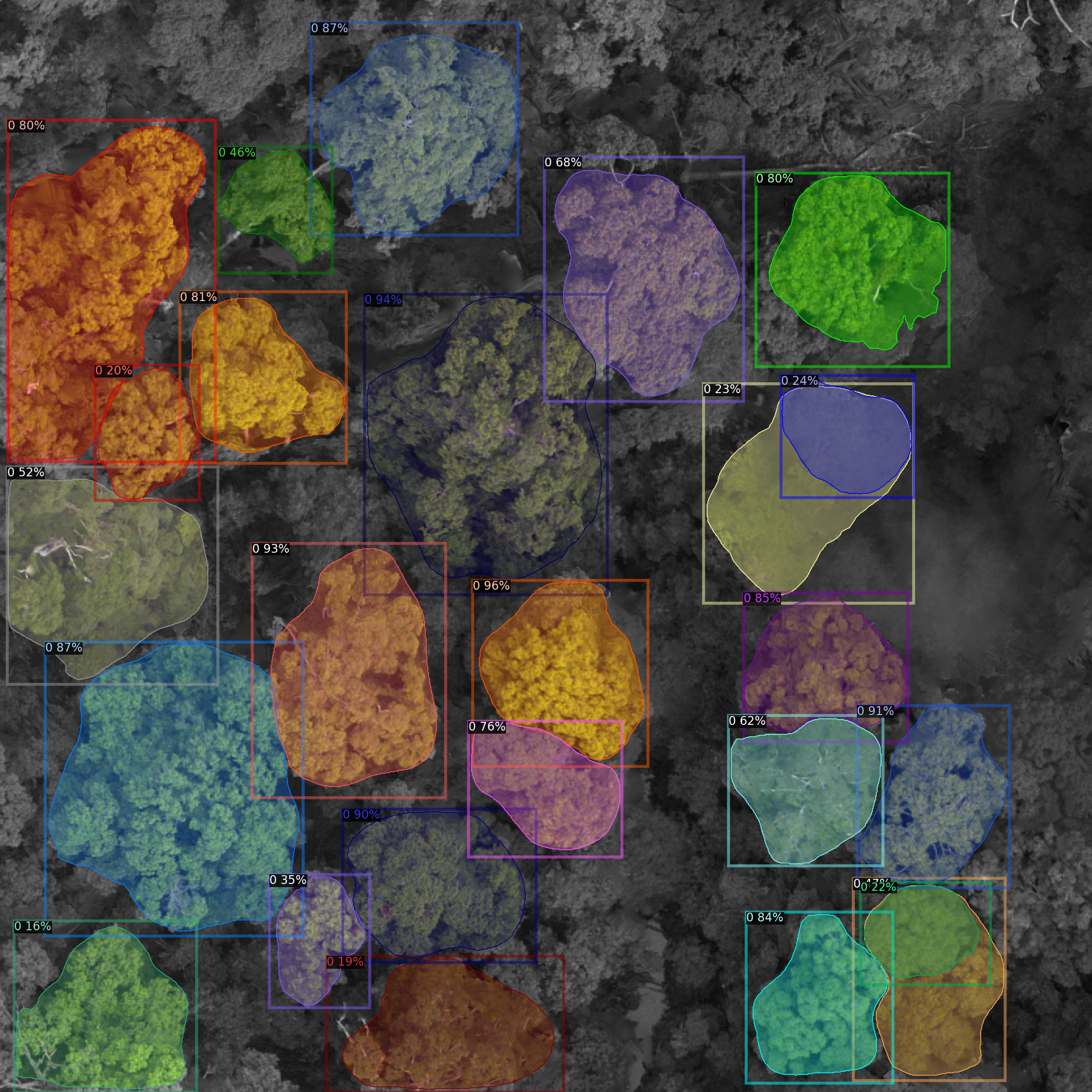 ../../_images/forest-modelling-treecrown_detectreeRGB_23_0.png